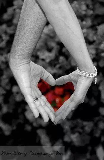 hasamn172's tweet photo. صباحاليوم سعيد http://t.co/JjYiD8wu4y