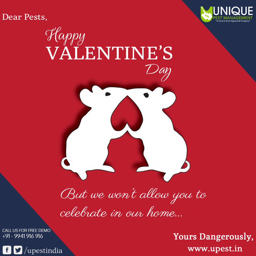 upestindia's tweet photo. Happy Valentine's Day..
Live a happy and peaceful life without pest..
See more : http://t.co/ly7n9pCHVn http://t.co/TACY3GCCtb