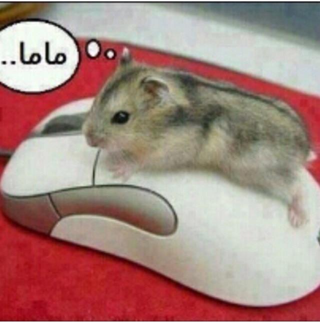 fa201300 tweet picture
