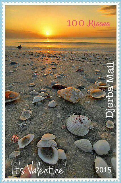 Djerba Tunisia tweet media