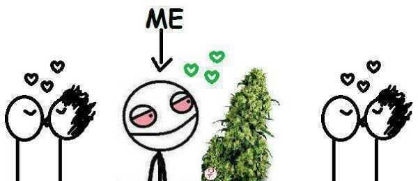 illegalize_ tweet picture