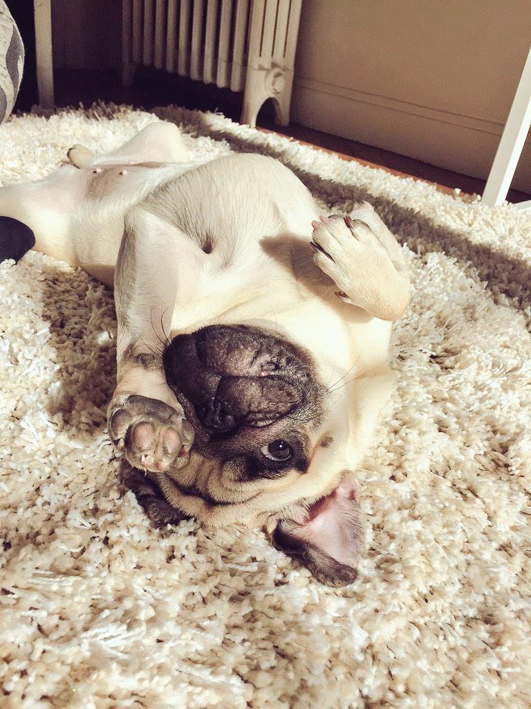 Se dorer la pilule by Jelly.