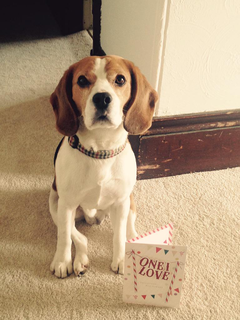 Happy Valentines Day! Love Ralphie x