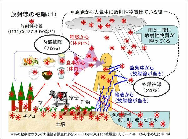 埋め込み画像への固定リンク