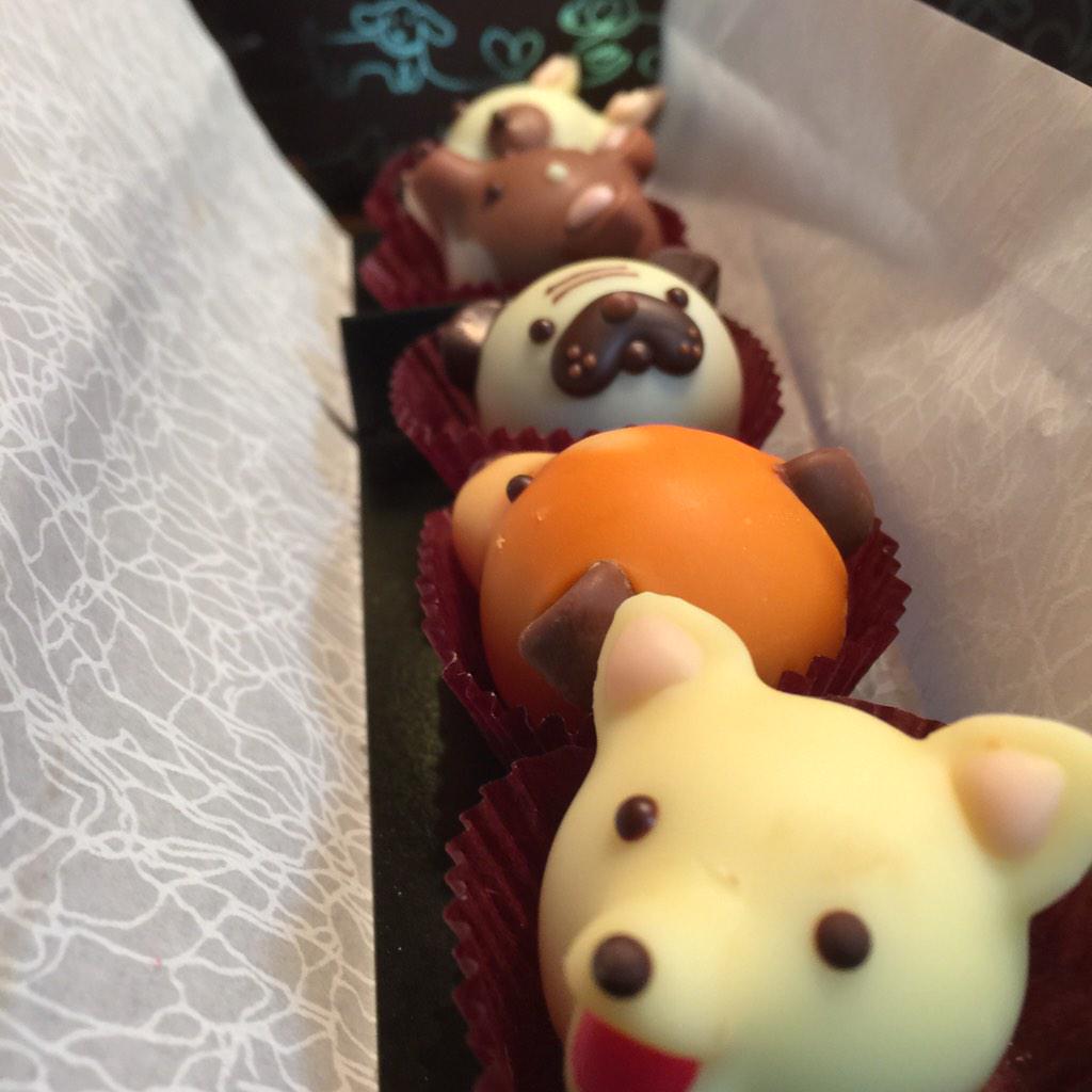 いぬちょこもらった。むすめから。