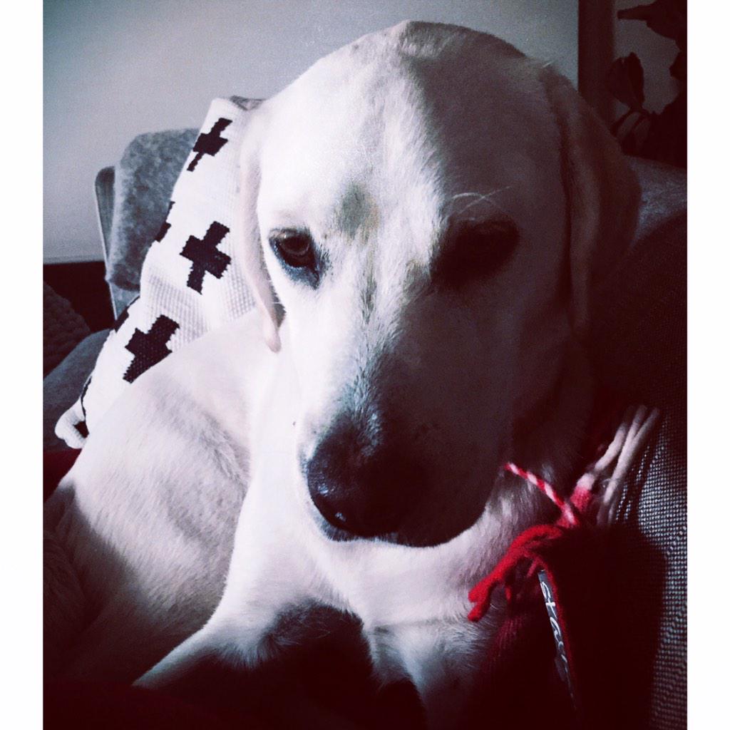 Naughty or not......I absolutely adore you 💙 #billie xx