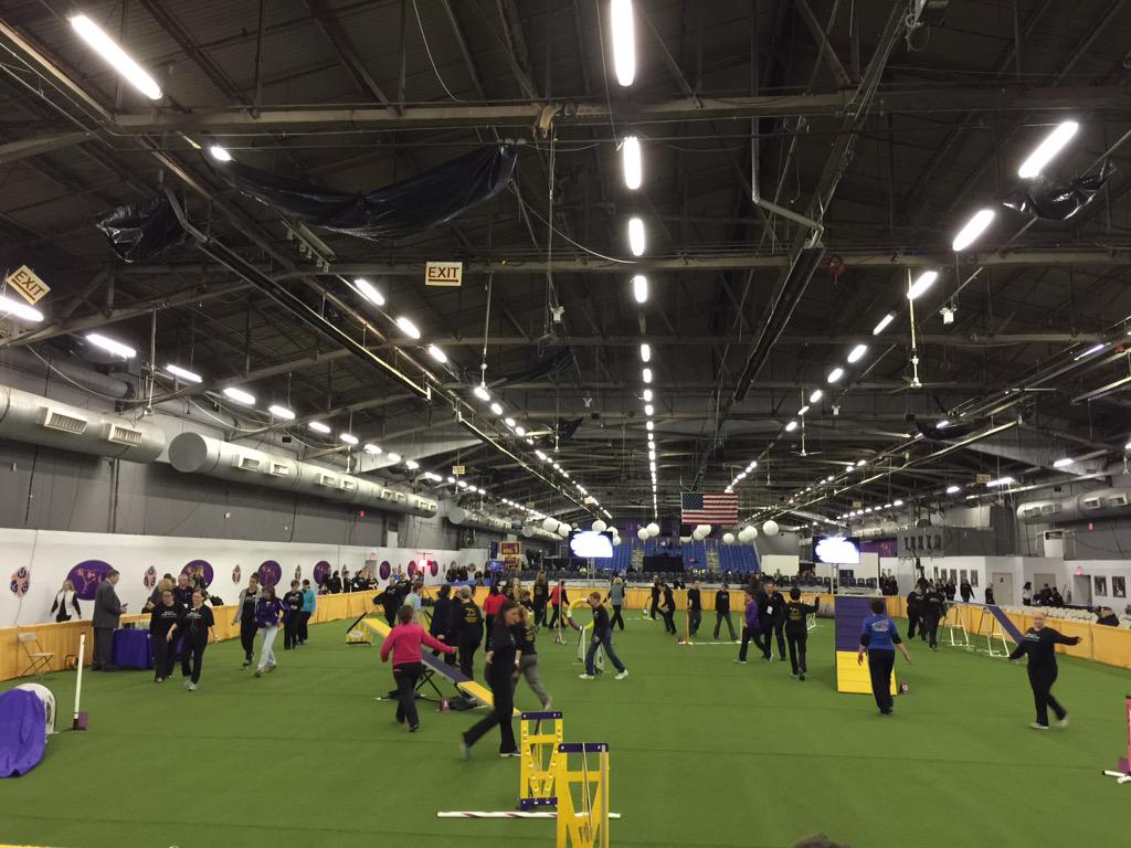 OHG_Corp's tweet image. Not only is #Voyce in Las Vegas for #WVC2015, we&apos;re also in NYC for the #WestminsterDogShow! @WKCDOGS @WesternVet