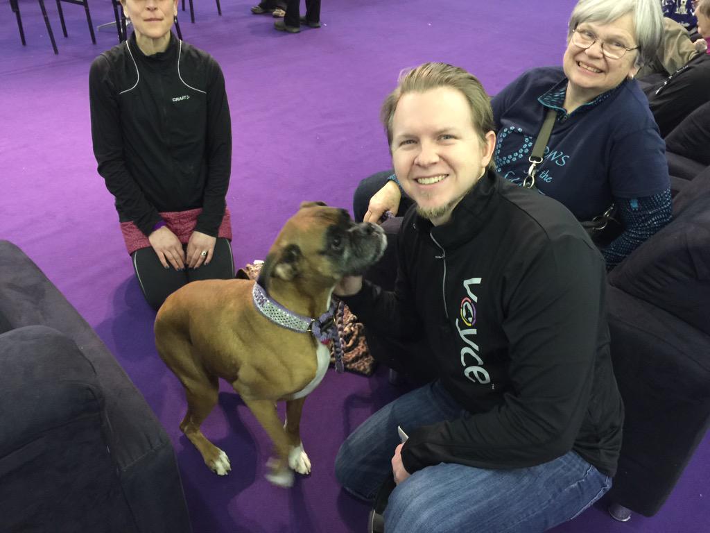 OHG_Corp's tweet image. Not only is #Voyce in Las Vegas for #WVC2015, we&apos;re also in NYC for the #WestminsterDogShow! @WKCDOGS @WesternVet
