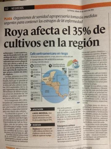 DISAGRO_FENORSA's tweet photo. El área total de Café de CA (958,000 ha) es afectada en un 35% por la roya http://t.co/kQ03SRMe