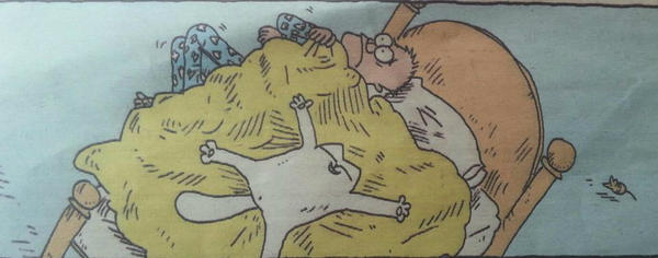 RubyTroger's tweet image. If you share your bed with a cat, it's very probable you sleep like that too ;)