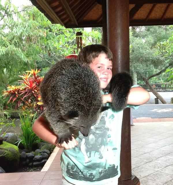 BlueskyJanh1's tweet image. "@janecat60: @janh1 Jack with a bearcat. He wasn't as sunburnt as he looked! #poorlighting http://t.co/j1R9XO27" / bear cat?  #looksup