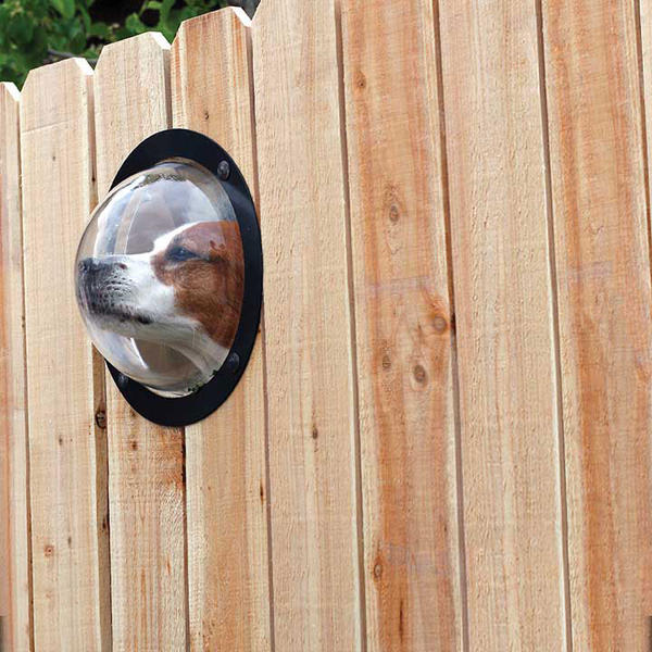 AmFenceStore's tweet image. would you ever consider one of these for your pets?