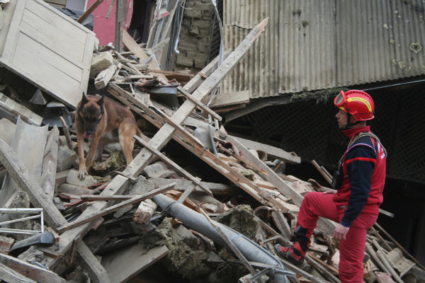 LaSemaineDesPyrénées tweet media