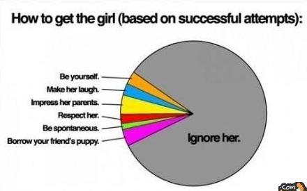 BlunttBitchhh's tweet photo. How to get the girl http://t.co/syTMDWSJ