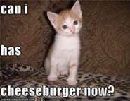 shaneaustingrub tweet picture