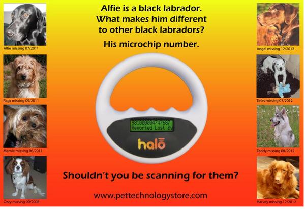 VetsGetScanning's tweet photo. The new Halo Microchip Scanner poster, take a look at the dogs.  Great campaign to get vets scanning! http://t.co/MwteFIa8 @HaloScanner