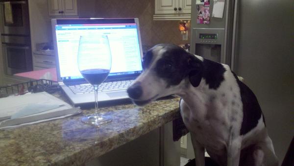 FifiWhippet's tweet image. It&apos;s not eazy bein&apos; Fifi but...I&apos;m just a girl and I&apos;m on fire...