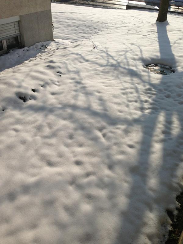 @Joshmorris0703 hardly any... :-D What about your country? Last time I saw it there was only rain and fog ;-)