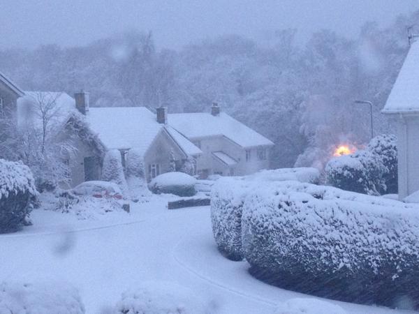 Beci79's tweet image. Winter wonderland