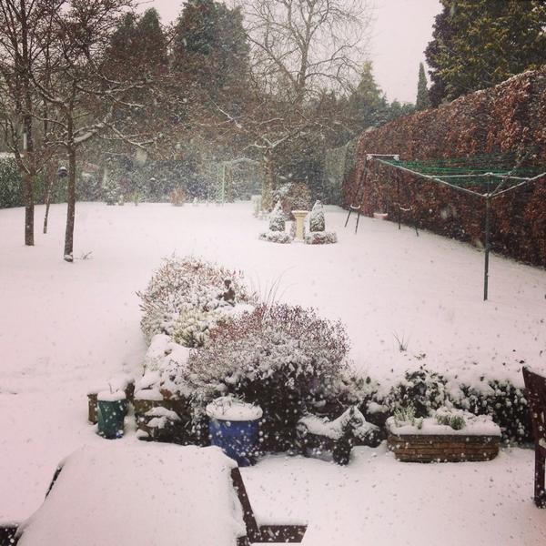 QuiltyMagee's tweet photo. Now #snowday http://t.co/YRB7SCVc
