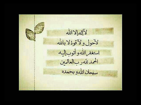 صـوره تستحـق الـرتـويـت .. ♥