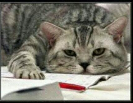 raspberry_____'s tweet image. Pues... #puff2