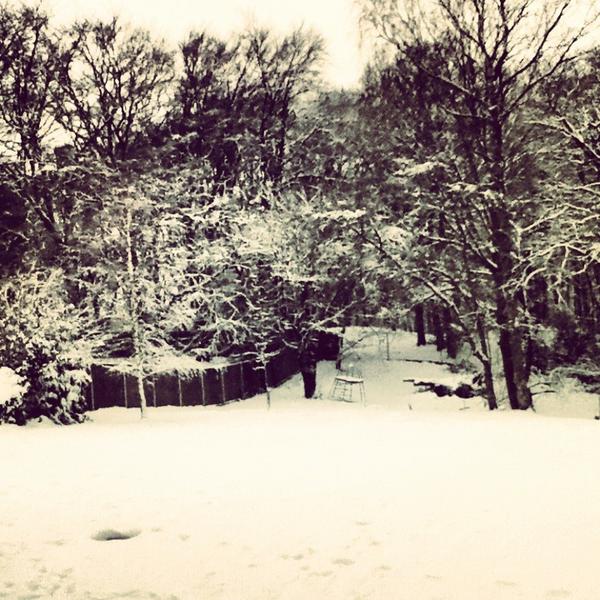 EmilyGilbert132's tweet photo. my garden is so pretty in the snow http://t.co/i4IhfCEg