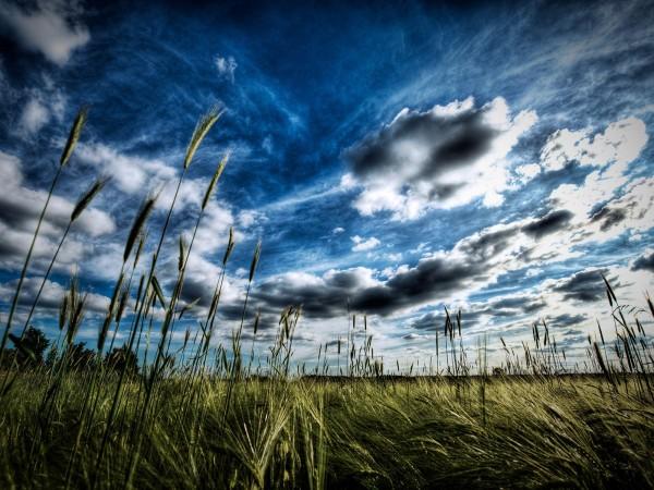 carwallpapers1's tweet photo. spring field and clouds wallpaper - http://t.co/xrXAOAU5 http://t.co/Waldrqik
