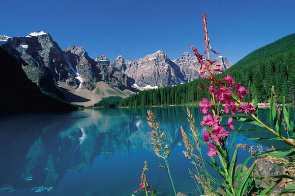 ecologicovzla's tweet photo. Debemos cuidar el ambiente para seguir disfrutando de paisajes como este, feliz viernes. http://t.co/ATTVp4bF
