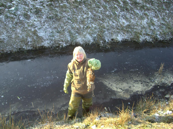 BurodeVries's tweet photo. Buro de Vries is snein op paad mei muskusrottefangers @omropfryslan 92.2FM http://t.co/OUWRfxxs