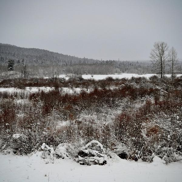 beautifulbcbot's tweet image. by theysaycamron instagr.am/p/UofT3MyLzc/ ❄❄❄ #chasingsnow #winter #winterwonderland #nature #mountains