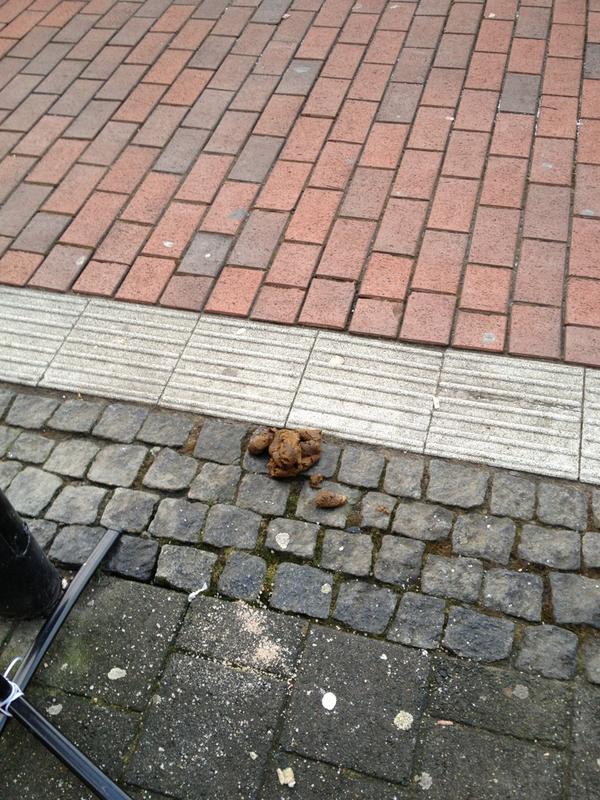 Asociale mensen die hun hond op de stoep laten poepen.. Konden wij het weer opruimen.. Dat kon er ook nog wel bij