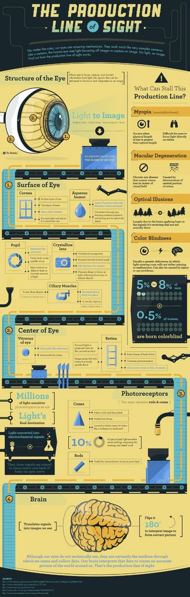 Visionsourceard's tweet image. Want to know how the eye works? Check this out...