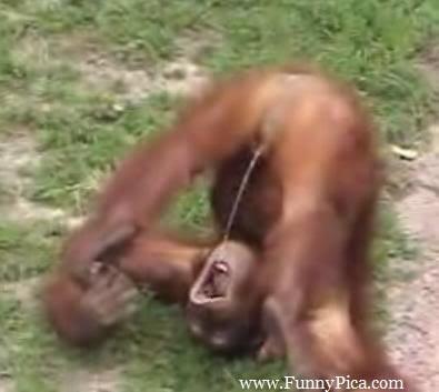 loldifferences's tweet photo. Ma wheelz is a squirter #wow http://t.co/SEjAjCYr