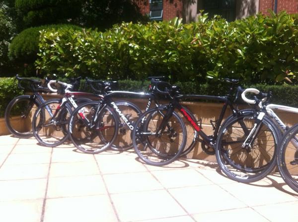 dqcommodities's tweet image. The steads about to be mounted!