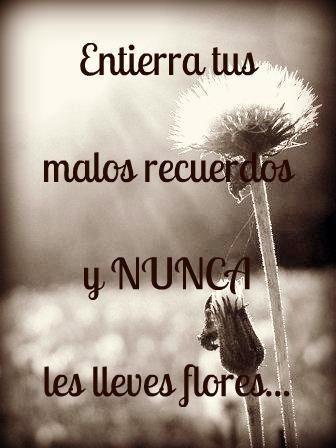 dayamimoreno's tweet photo. http://t.co/5T8P8NS6