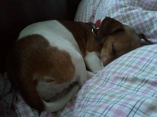 maxvrins's tweet photo. ah, schatje! http://t.co/a0peT3zP