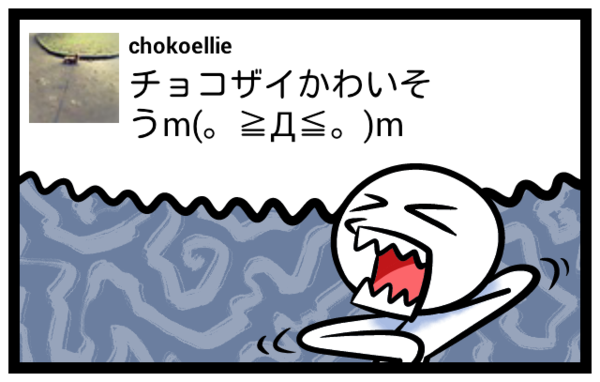 chokoellie's tweet photo. チョコザイかわいそうm(。≧Д≦。)m #feelon http://t.co/c6zcoVNN
