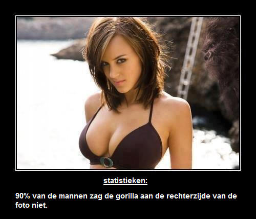 Boys en Girls tweet media