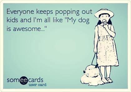 I&rsquo;m all like&hellip; http://t.co/rrPyRqna<a href="/tag/chopped"class="tags"><span>#chopped</span></a><a href="/tag/portlandmaine"class="tags"><span>#portlandmaine</span></a><a href="/tag/michelinstar"class="tags"><span>#michelinstar</span></a><a href="/tag/jamesbeard"class="tags"><span>#jamesbeard</span></a>