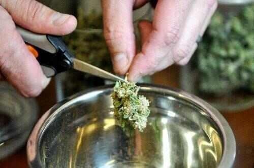 Stoner Quotes tweet media