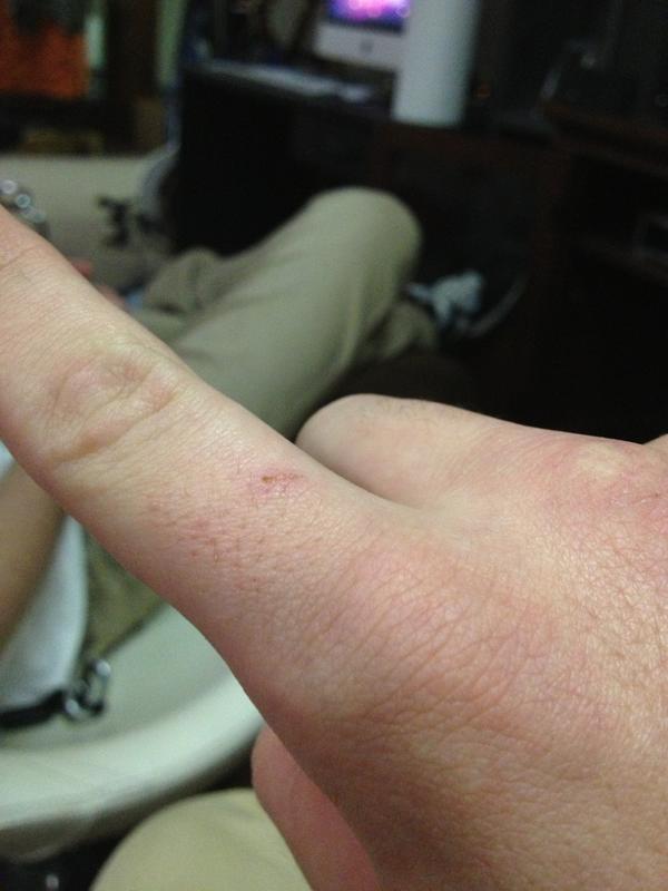 everythingHxC's tweet photo. #cut4bieber you did this to me Justin why did you do the devil lettuce?! Why???? http://t.co/GrA1O619