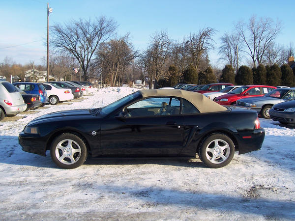 TelegraphAuto's tweet image. 2004 Ford Mustang for $4,495!!!!!