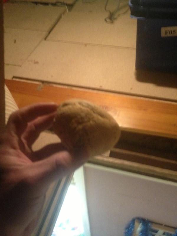 robeyre1980's tweet photo. @mark_carleton I found this amongst my old stuff in the loft. It's the bread roll I brought back from torremolinos!!!! http://t.co/FkAHKdZs