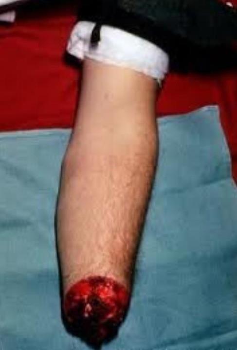DCoop93's tweet photo. #cutforbeiber #cut4bieber ooops went a bit over the top http://t.co/fGPHEvy0