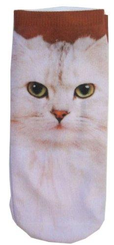 taco_wizzard's tweet photo. @annhan22 @JamiePhillips31 if i ever find these socks im buying a pair each for the three of us #catsoncatsoncats http://t.co/CBeXaYk2