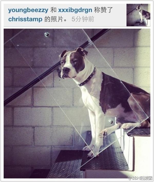 GDragonINA's tweet photo. G-Dragon &amp; Taeyang liked same photo in instagram! http://t.co/Ji2RKMVD (via realjiyong)