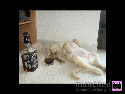 jerkidinho's tweet photo. Badman things http://t.co/UVMNJyr8