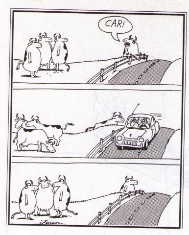 FarSideDaily's tweet photo. http://t.co/V9aihmEe