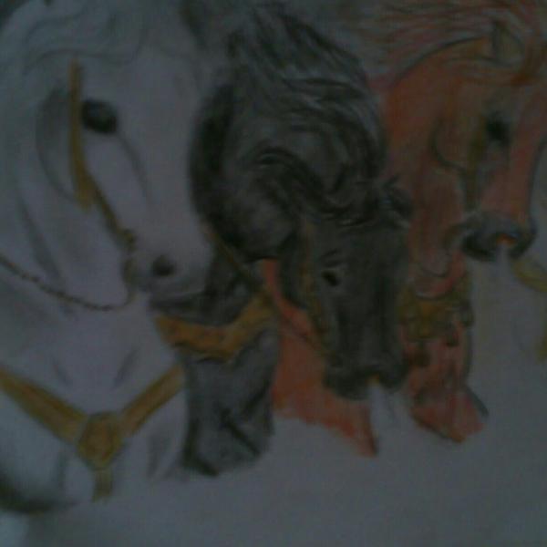 horseylover's tweet photo. Drawn this! :) http://t.co/FUcnX01J